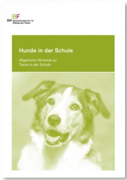 hundeinderschule.jpg